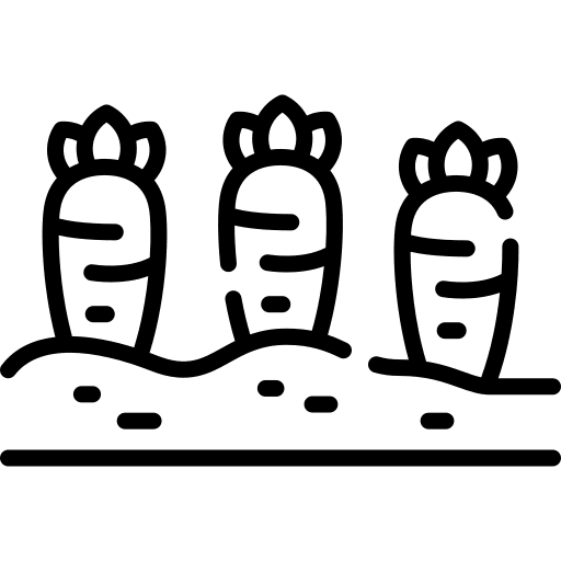 Carrots food harvest farming icon