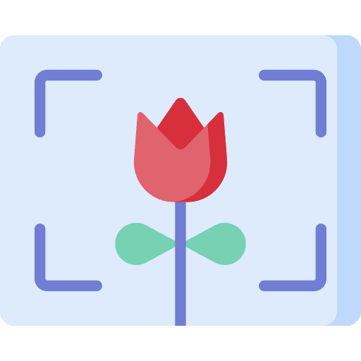 Macro edit tools mode effect icon