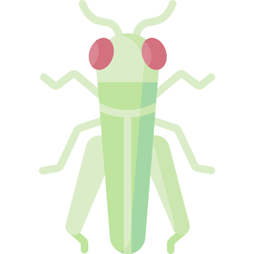Grasshopper grasshopper animals insect icon
