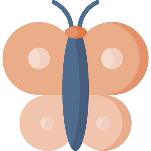 Butterfly insect entomology animals icon