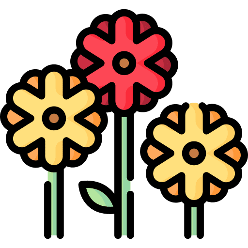 Chrysanthemum blossom botanic chrysanthemum icon