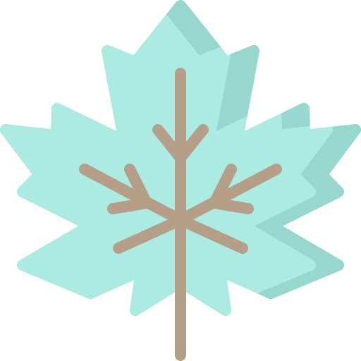 Maple leaf nature garden botanical icon
