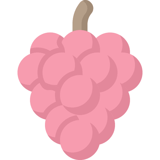 Grapes vegetarian bouquet grapes icon