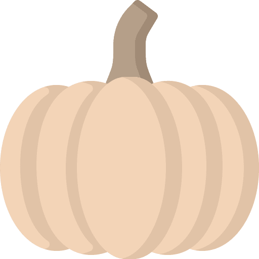 Pumpkin healthy food diet vegetarian icon