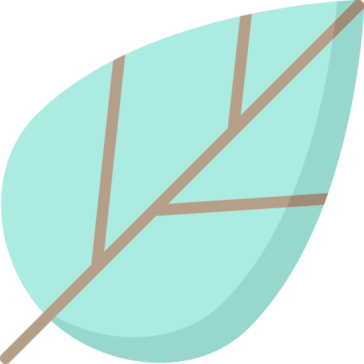 Leaf nature leaf botanical icon
