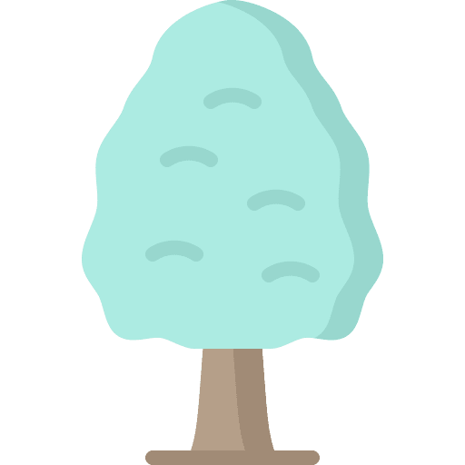 Pine tree nature forest pine tree icon