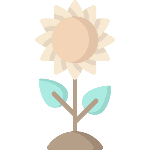 Sunflower blossom botanical nature icon