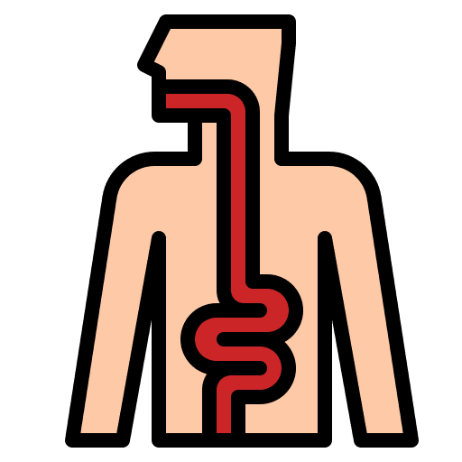 Intestine guts diarrhea illness icon