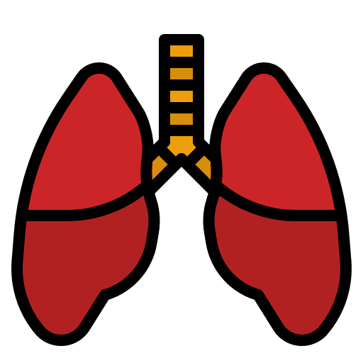 Lungs healthcare and medical organ lungs icon