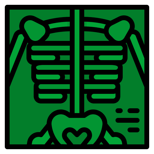 Skeleton skeleton medical x ray icon