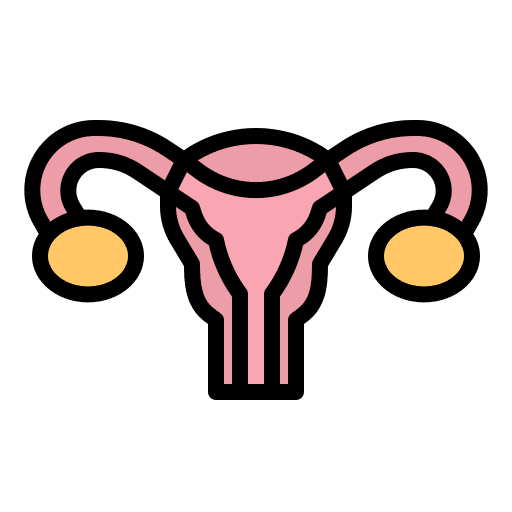 Uterus fallopian tubes ovaries uterus icon