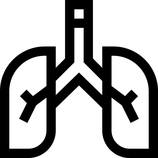 Lungs human body organ breath icon