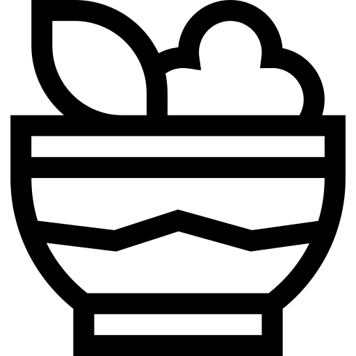 Salad organic vegan fruit icon