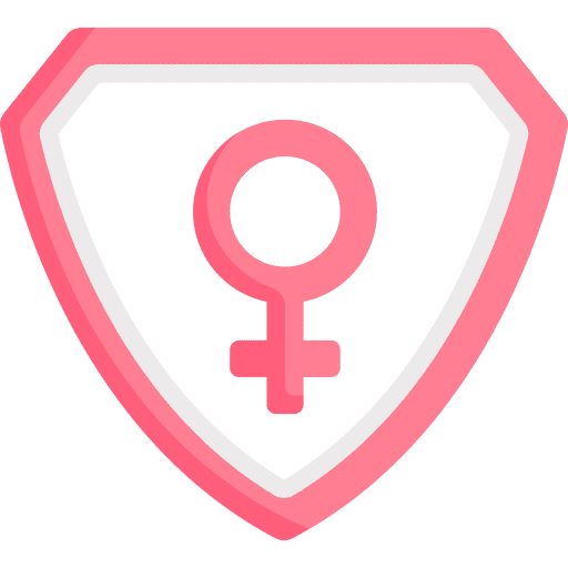 Shield gender shield feminism icon