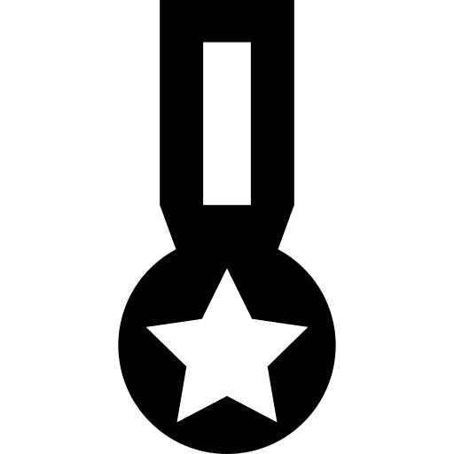 Star medal award honour icon