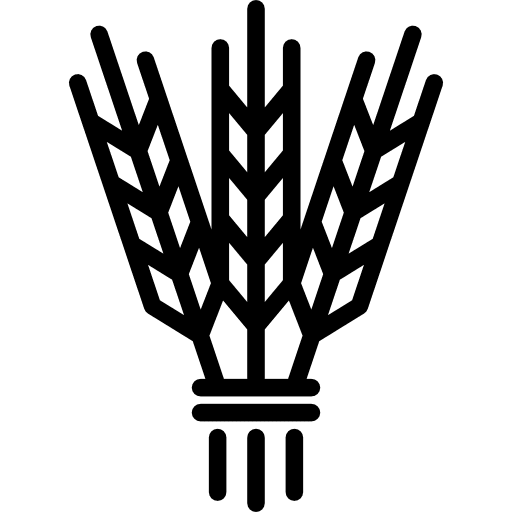 Israel barley food judaism religious icon