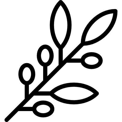 Olive branch judaism branch jewish icon