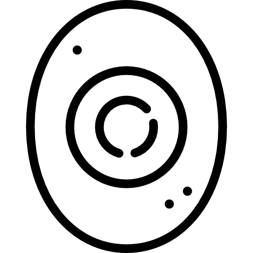 Gefilte fish judaism food israel icon