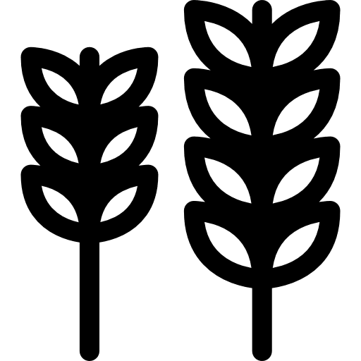 Wheat sprigs healthy food vegetarian food icon