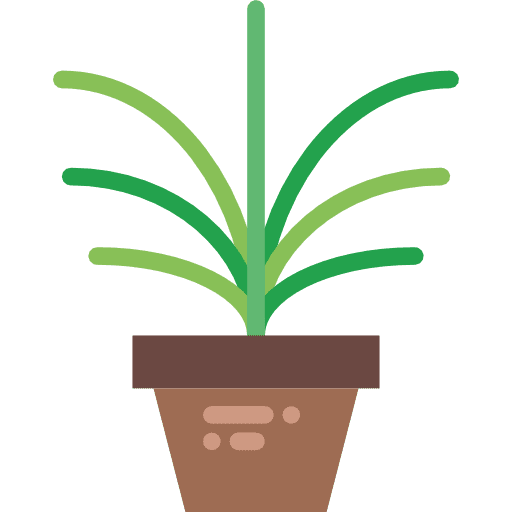 Plant gardening plant ecology icon