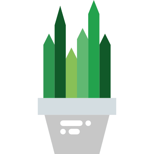 Cactus nature plant botanical icon