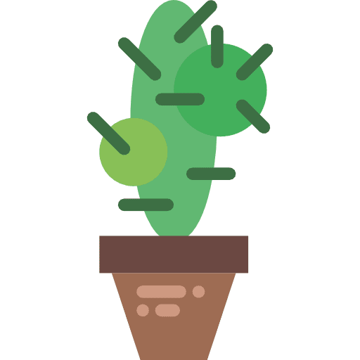Cactus plant nature cactus icon