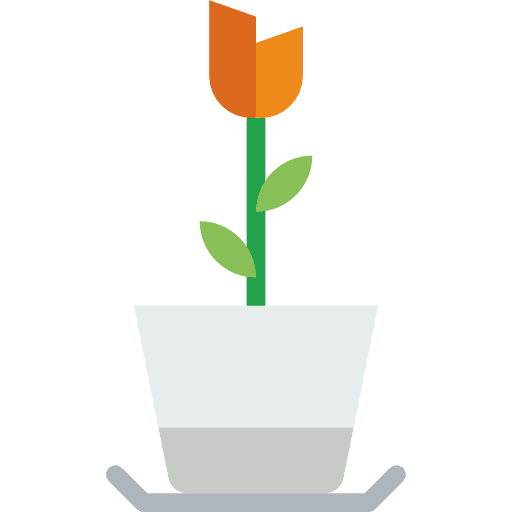 Flower rose nature flower icon