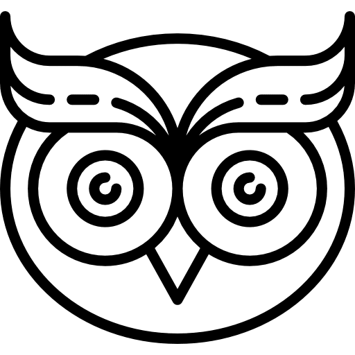 Owl bird hunter owl icon