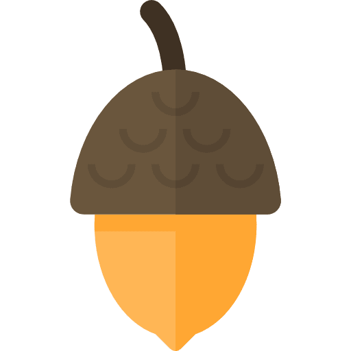 Acorn organic vegan healthy food icon