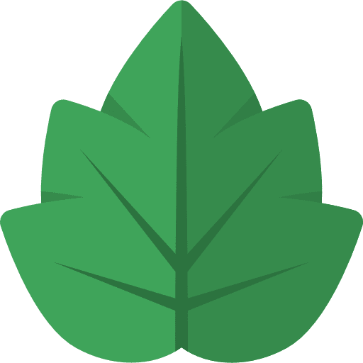 Leaf leaf nature botanical icon