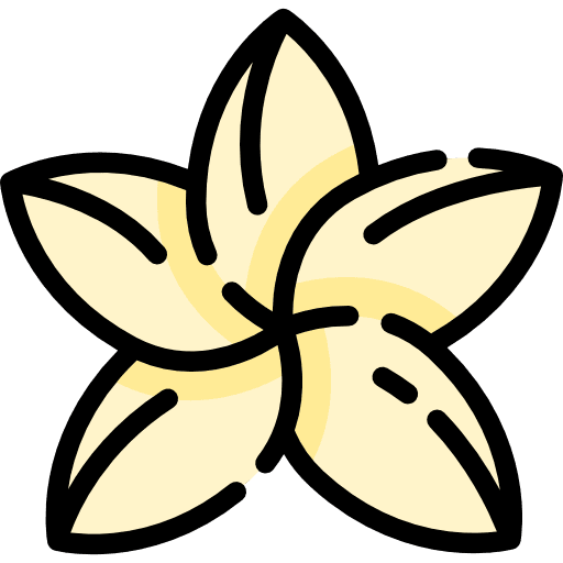 Jasmine nature petals blossom icon