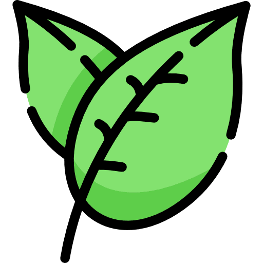 Leaf leaf nature holidays icon