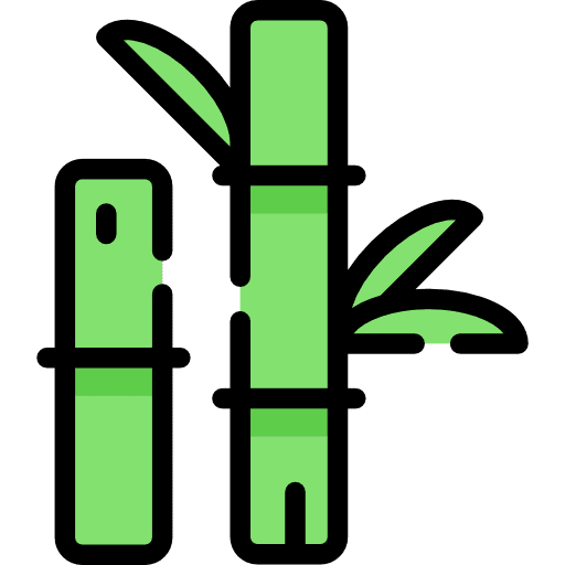 Bamboo botanical plant nature icon