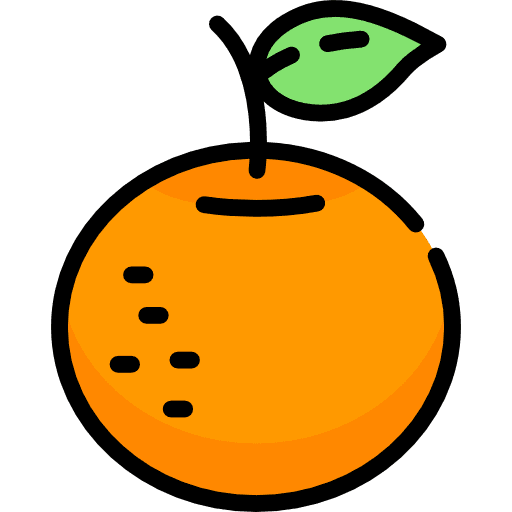 Orange vegetarian food vegan icon