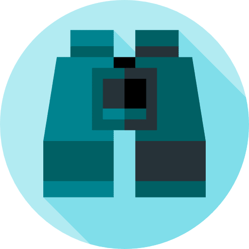 Binoculars search networking ui icon