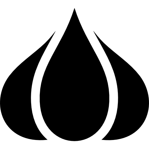 Garlic food food and restaurant garlic icon