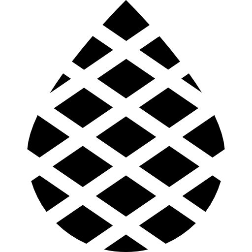 Palm botanical nature palm tree icon