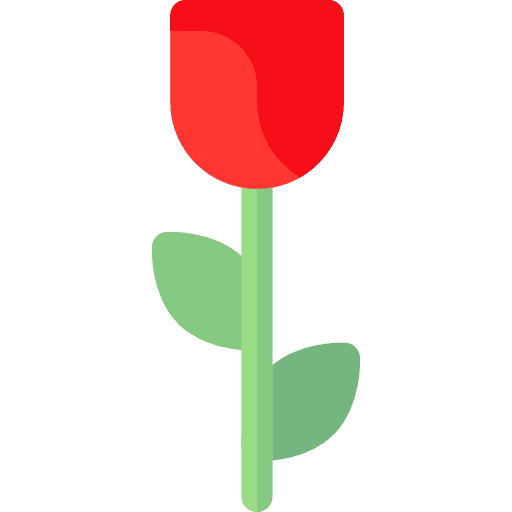 Rose petals blossom rose icon