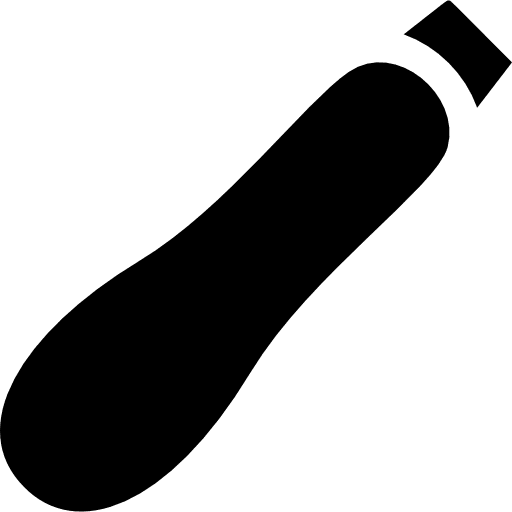 Courgette vegan courgette fruit icon