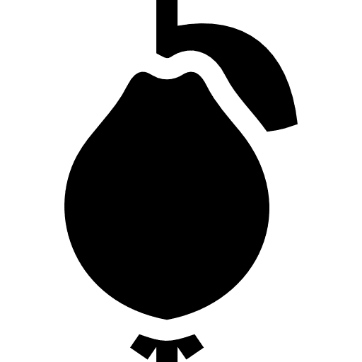 Guava food and restaurant diet food icon