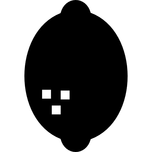 Lemon candy fruit lemon icon