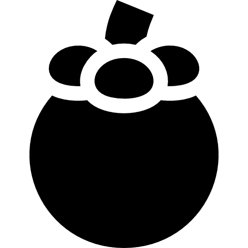 Mangosteen healthy food diet mangosteen icon