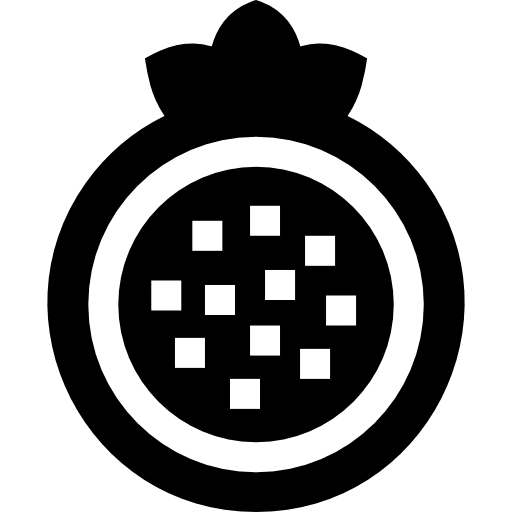 Pomegranate organic diet food icon