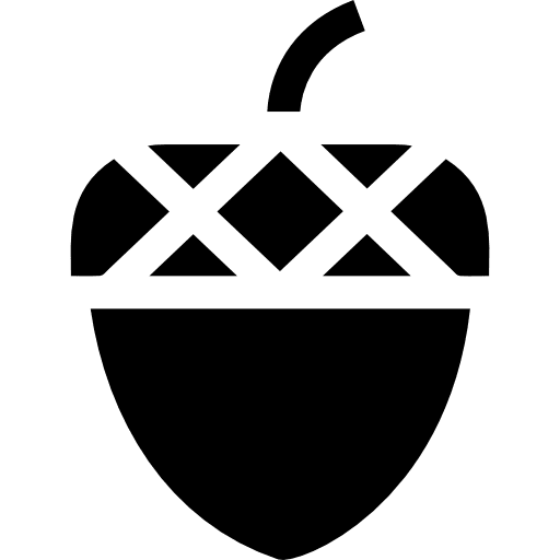 Acorn acorn vegan healthy food icon