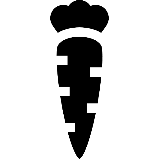 Carrot healthy food vegan food icon