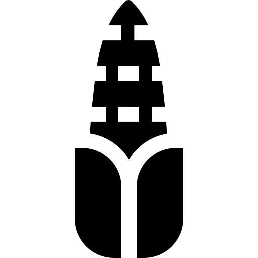 Corn diet corn cereal icon