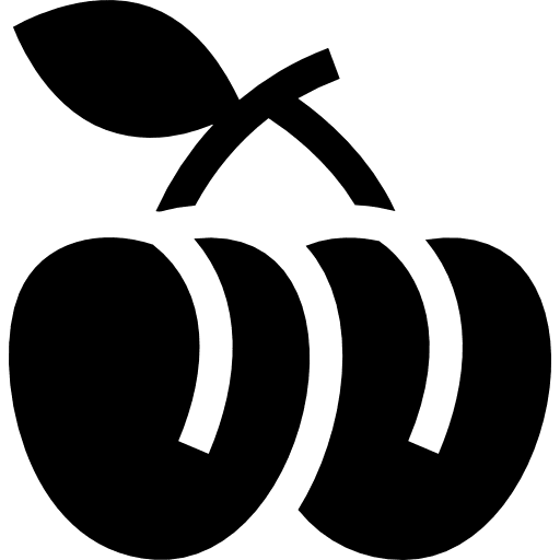 Plum diet food fruit icon