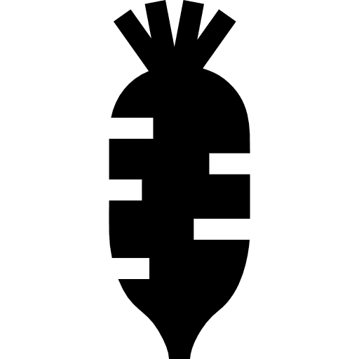 Radish vegetarian diet vegetable icon