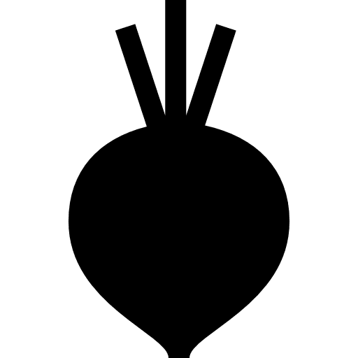 Beet diet vegan food icon