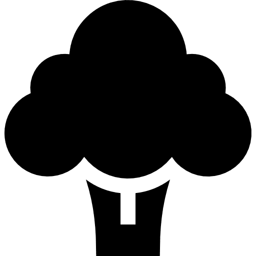 Broccoli vegetarian food vegetables icon